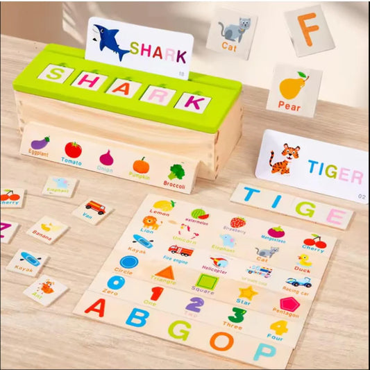 Multiple knowledge Classification Box